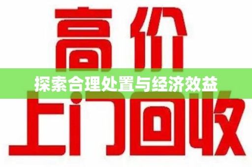 厦门探索合理处置与经济效益