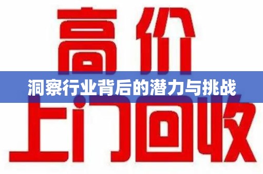 厦门洞察行业背后的潜力与挑战