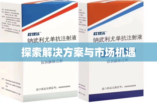 厦门探索解决方案与市场机遇