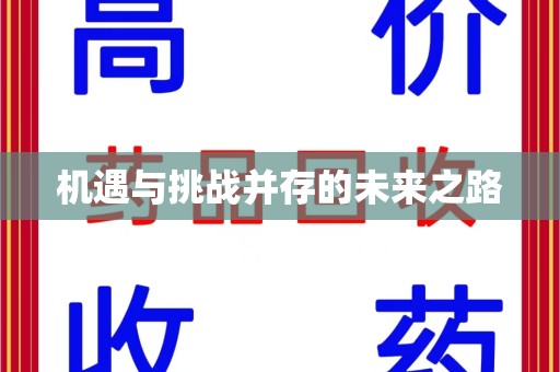厦门机遇与挑战并存的未来之路