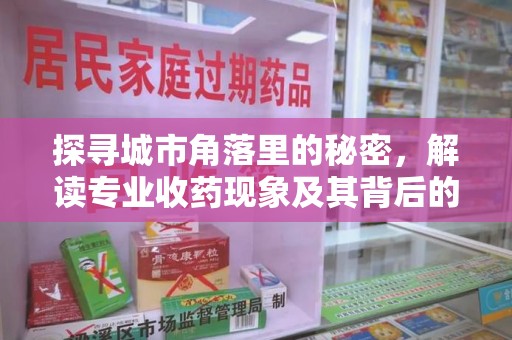 厦门探寻城市角落里的秘密，解读专业收药现象及其背后的故事