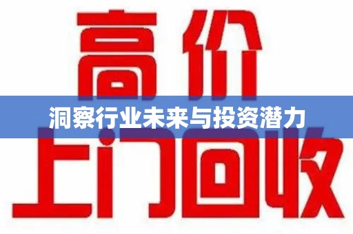 厦门洞察行业未来与投资潜力